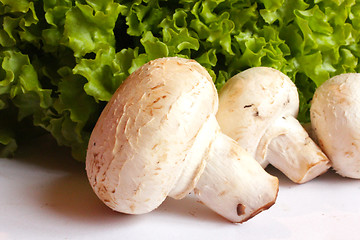 Image showing agaric and lettuce ready for the cooking