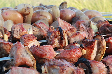 Image showing appetizing barbecue on the fire