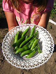 Image showing little girl proposes fresh peas