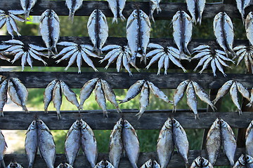 Image showing Dried Fish