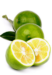 Image showing Green Lemons