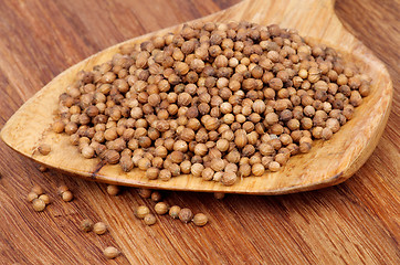 Image showing Coriander Seeds