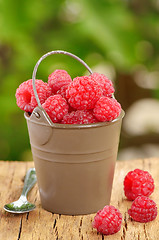 Image showing Raspberry  in a bucket