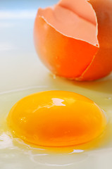 Image showing Broken egg isolated 