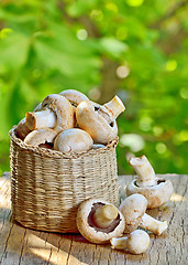 Image showing mushrooms in straw basket