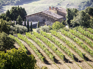 Image showing Tuscany wine