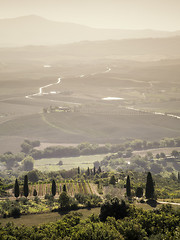 Image showing Tuscany