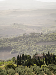 Image showing Tuscany