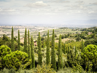 Image showing Tuscany