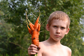 Image showing The boy with amusing carrot