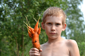 Image showing The boy holds amusing carrot in a hand.