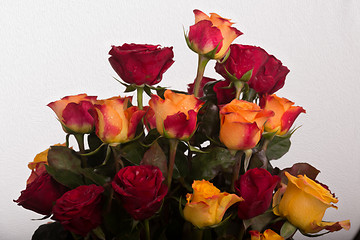 Image showing Rose bouquet