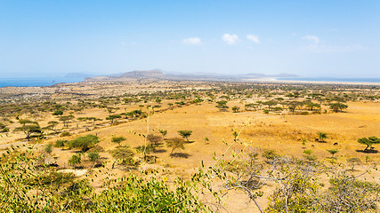 Image showing Abjatta-Shalla national park