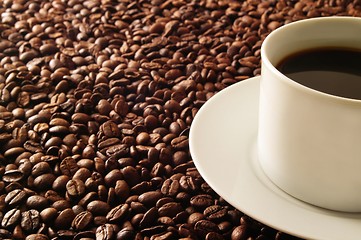 Image showing Coffee on Beans