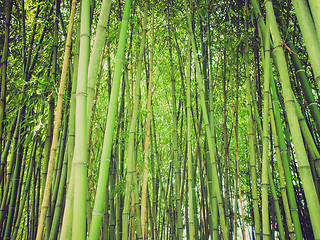 Image showing Retro look Bamboo picture