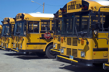 Image showing School bus