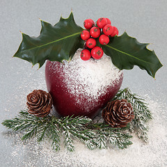 Image showing Festive Fruit