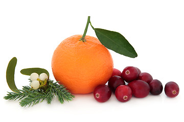 Image showing Cranberry and Orange Fruit