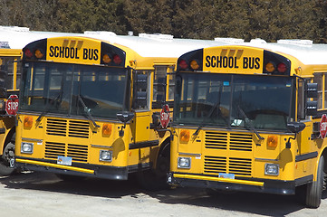 Image showing School bus