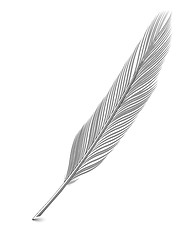 Image showing Silver or platinum feather quill over white