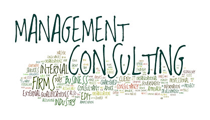 Image showing management consulting text cloud