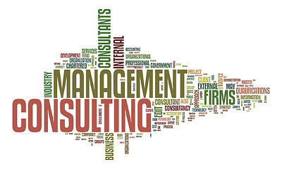 Image showing management consulting text cloud