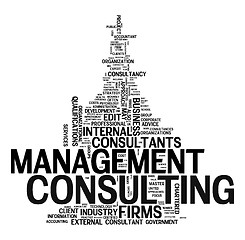 Image showing management consulting text cloud