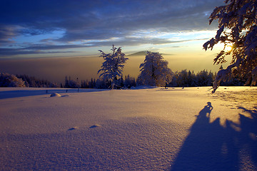 Image showing winter