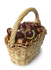 Image showing Basket of chestnut on white