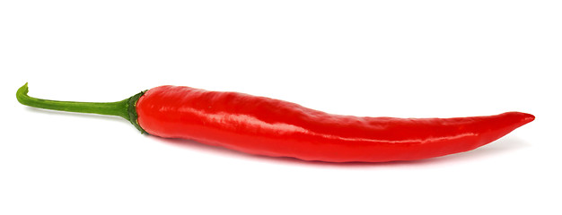 Image showing One pod of hot pepper on a white 