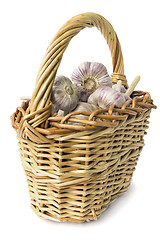 Image showing Basket of garlic on white