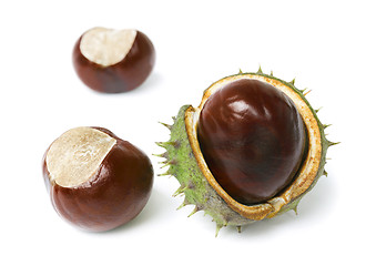 Image showing Three horse chestnut lie on white