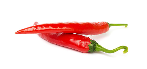 Image showing Two pods of hot pepper on a white