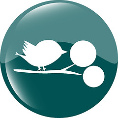 Image showing Bird glossy web icons, app button