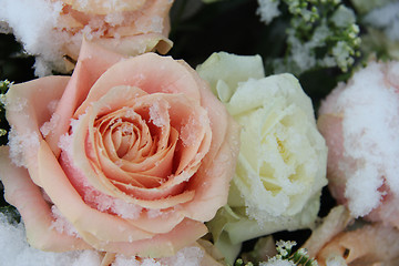 Image showing pink and white roses in the snow