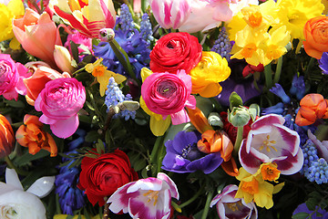 Image showing Spring flowers in bright colors