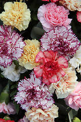 Image showing Pastel carnations