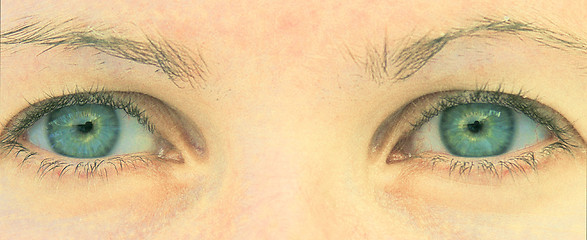 Image showing eyes