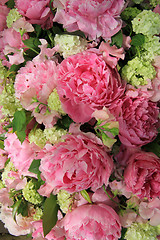 Image showing Peonies in a bridal arrangement