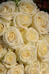 Image showing Group of frosted white roses