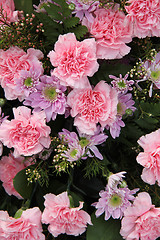 Image showing Carnations and mums