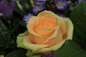 Image showing Roses and asters in a bridal bouquet