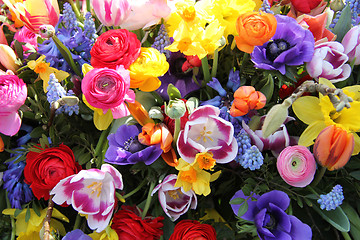 Image showing Spring flowers in bright colors