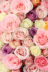 Image showing Wedding roses in pastel colors