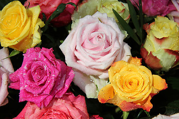 Image showing Multicolored rose bouquet