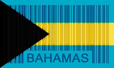 Image showing Barcode flag