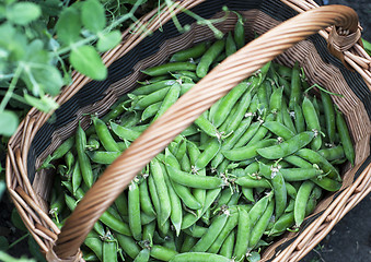 Image showing sugar peas