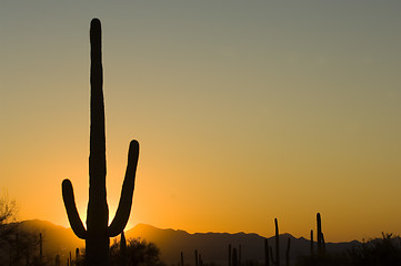 Image showing Sunset in Arizona