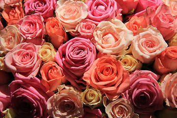 Image showing Roses in different shades of pink, wedding arrangement