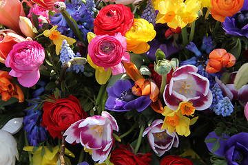 Image showing Spring flowers in bright colors